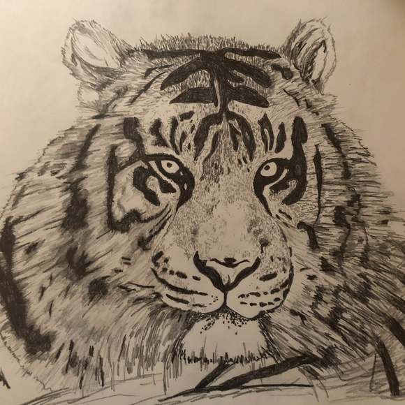 Drawing - Picture 3 of 12